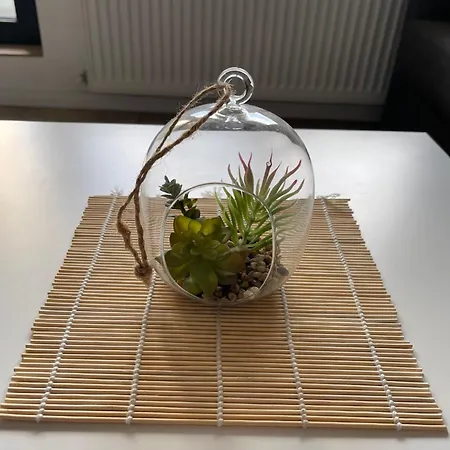 Apartment * 布加勒斯特